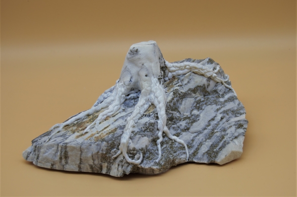 Baumstumpf auf Goldmarmor